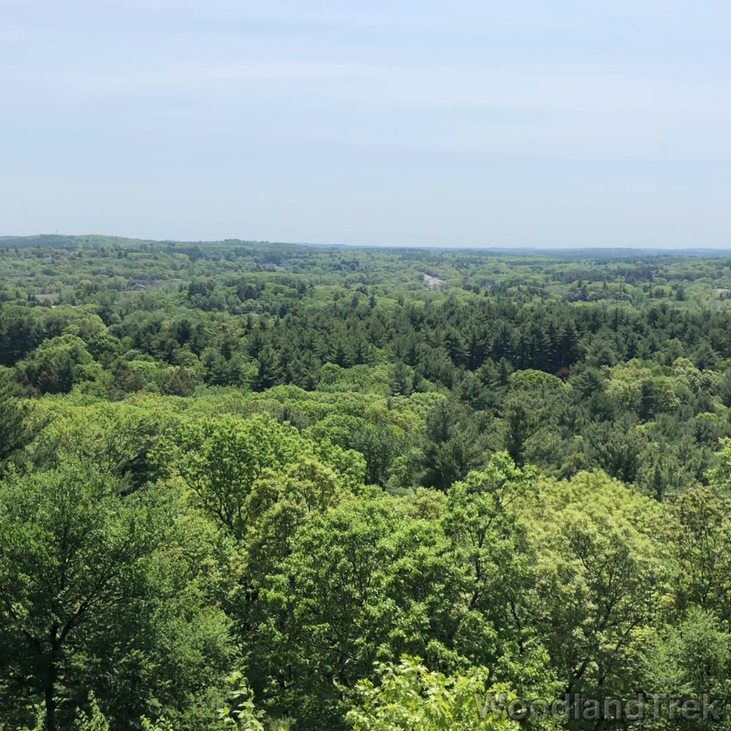 2021-05-20_113554_00