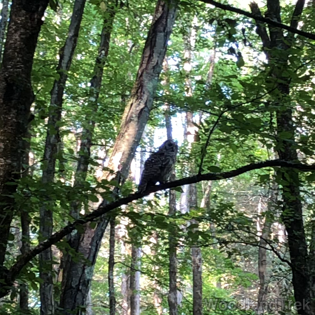 2021-08-27_102334_00