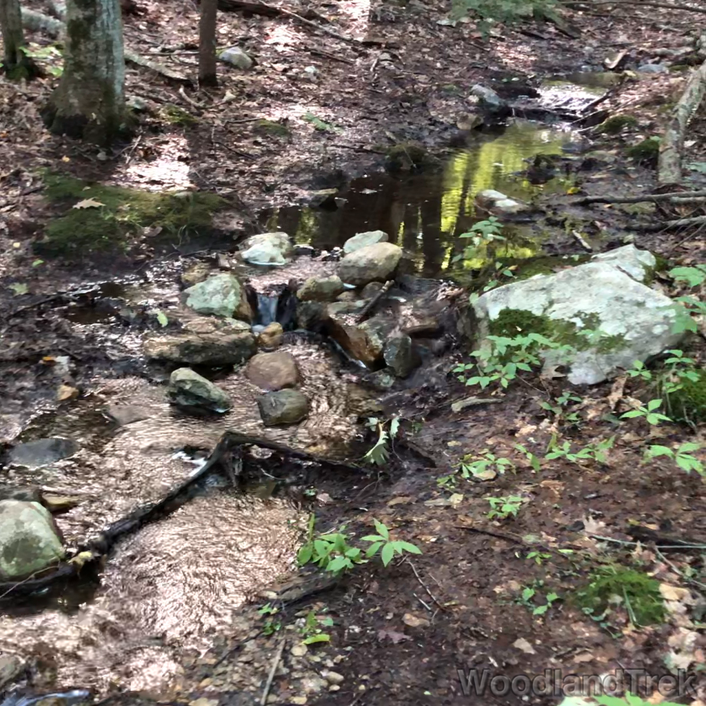 2021-09-03_102607_00