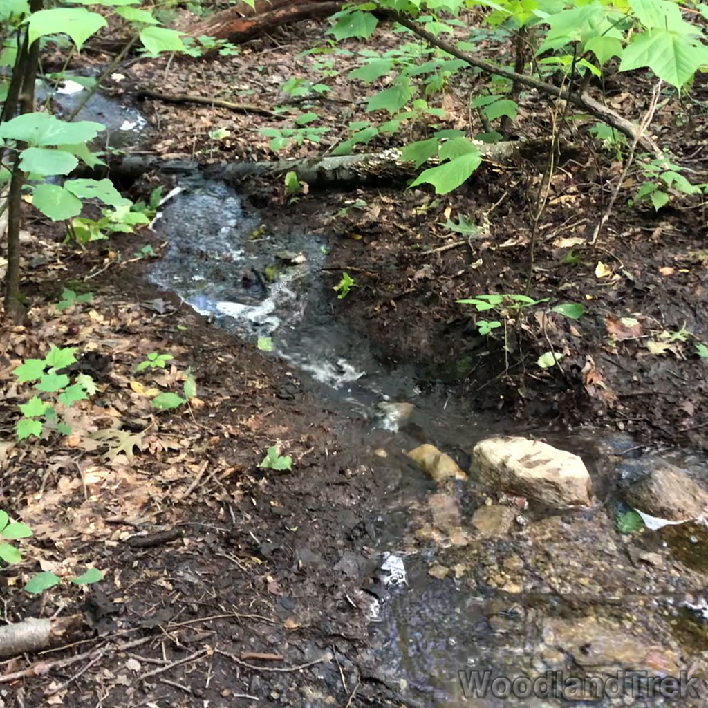 2021-09-03_102813_00