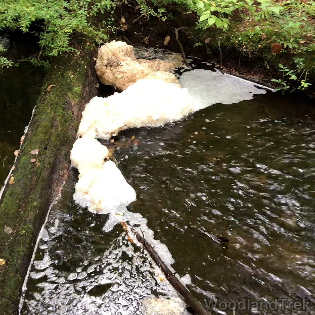 2021-09-17_124352_00