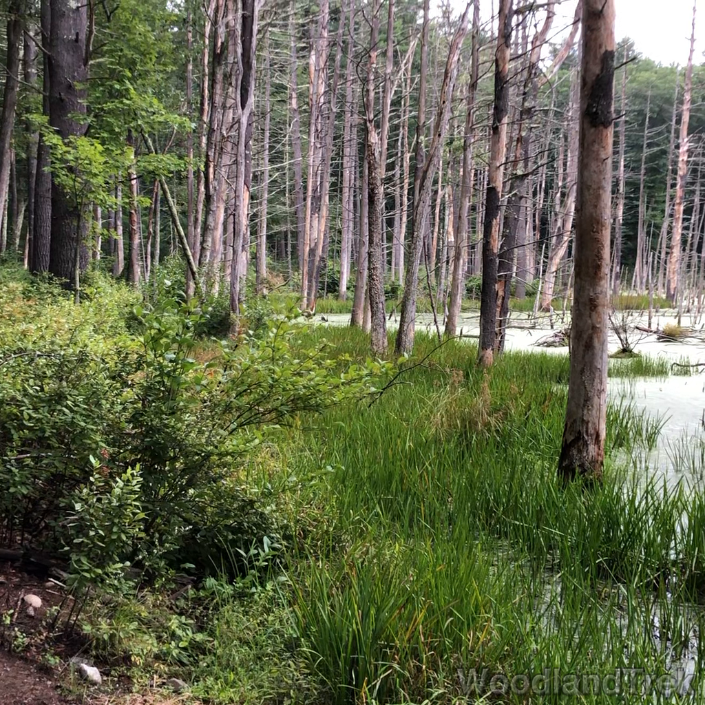 2021-09-17_125502_00