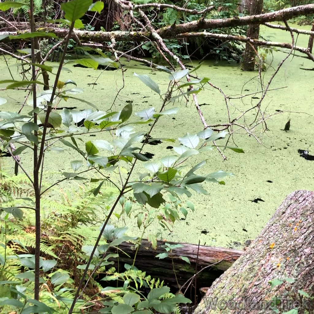 2021-09-17_132316_00