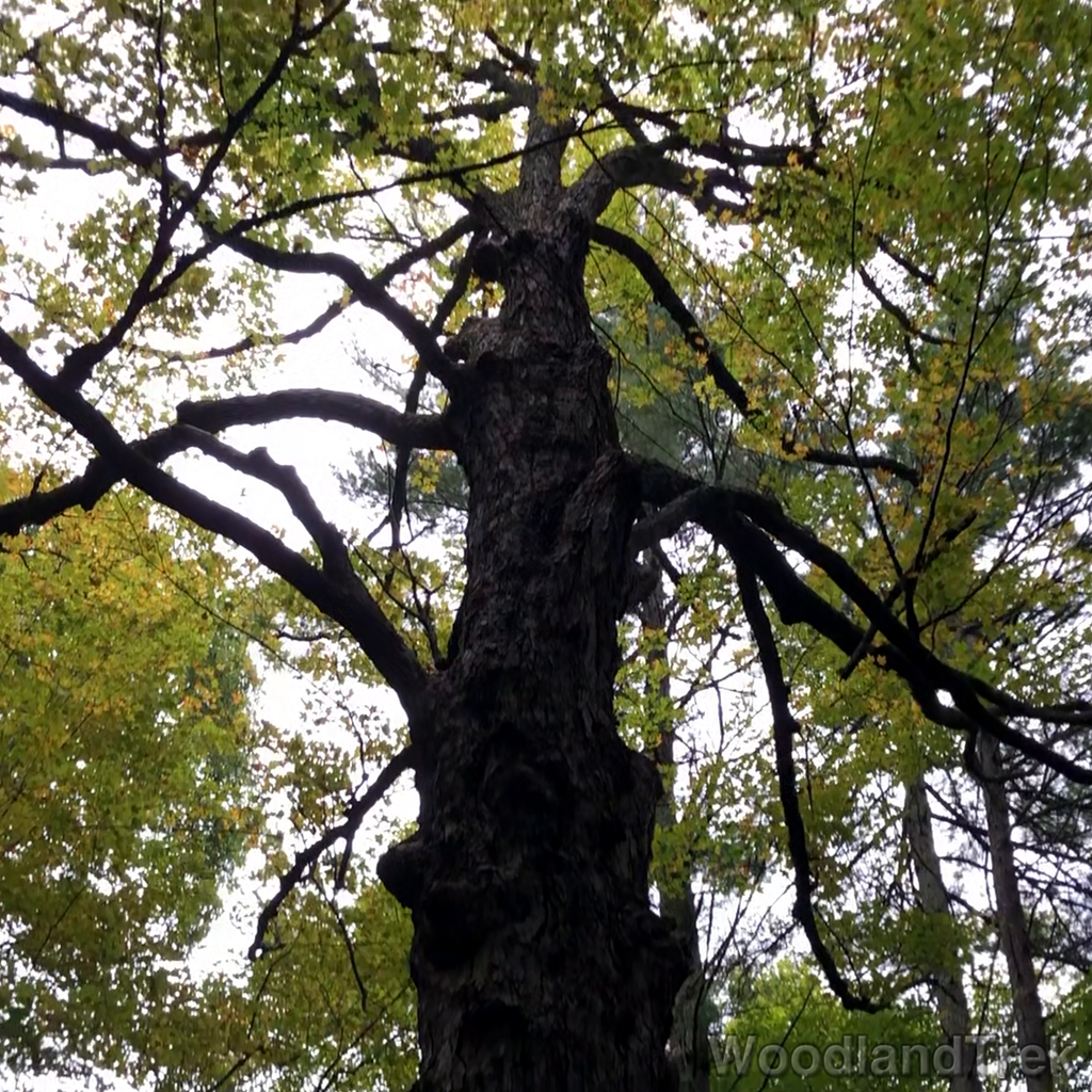 2021-09-17_134213_00