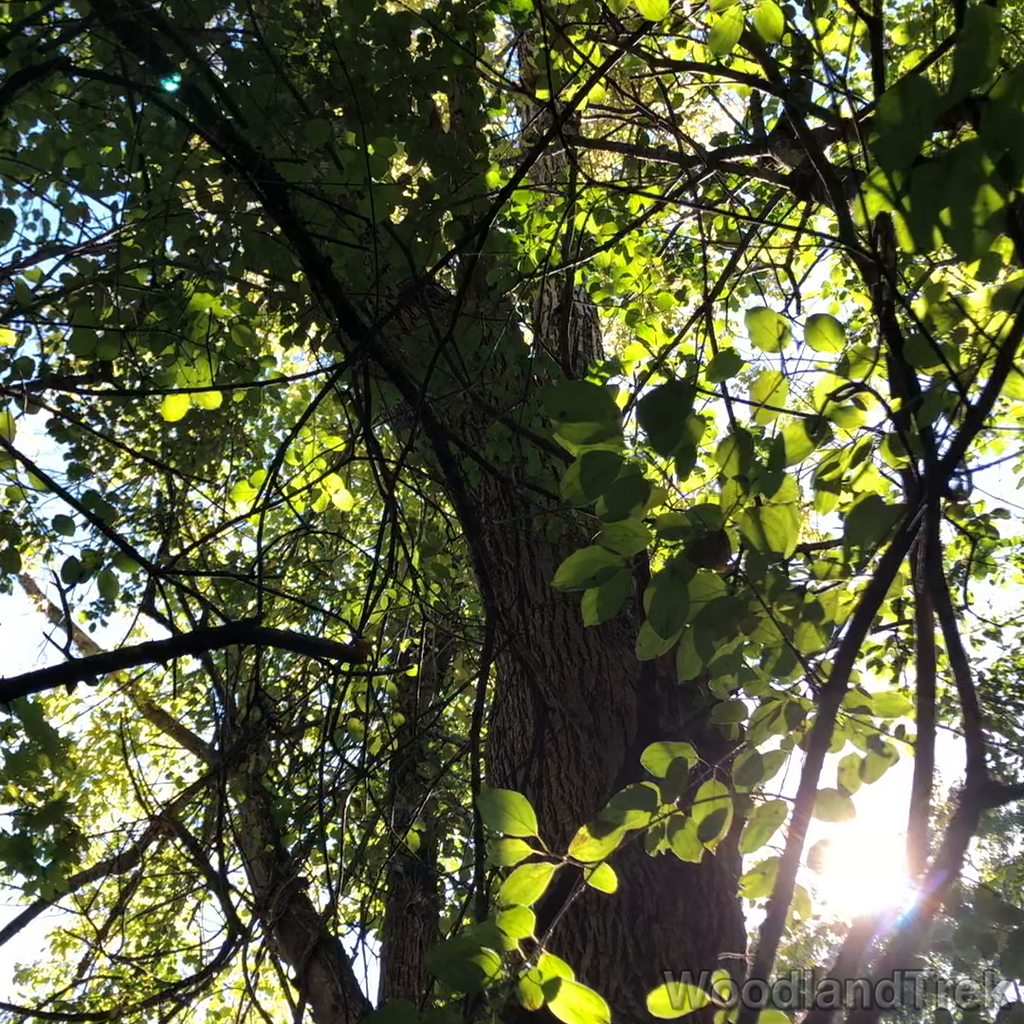 2021-09-25_135427_00