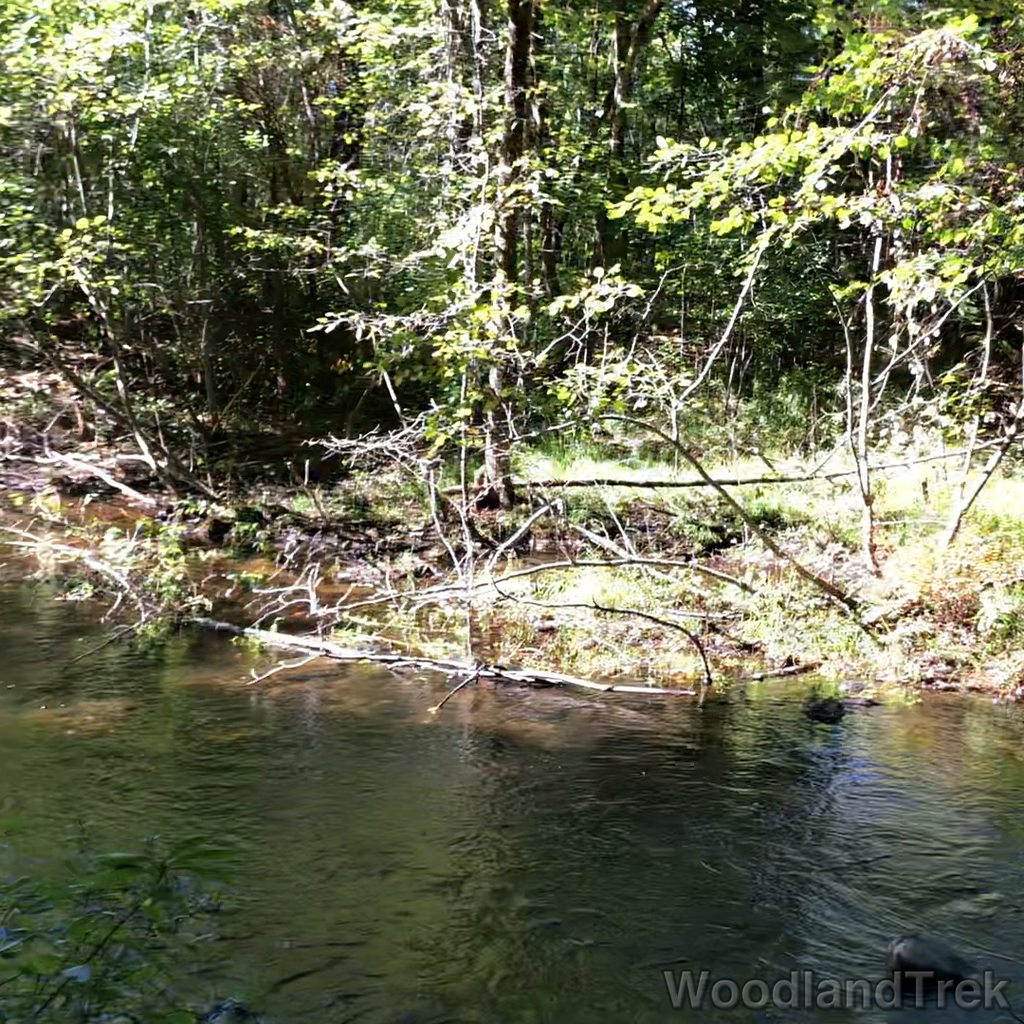 2021-09-29_113248_00