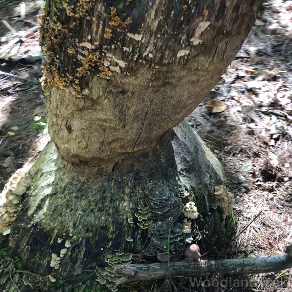 2021-10-08_102907_00