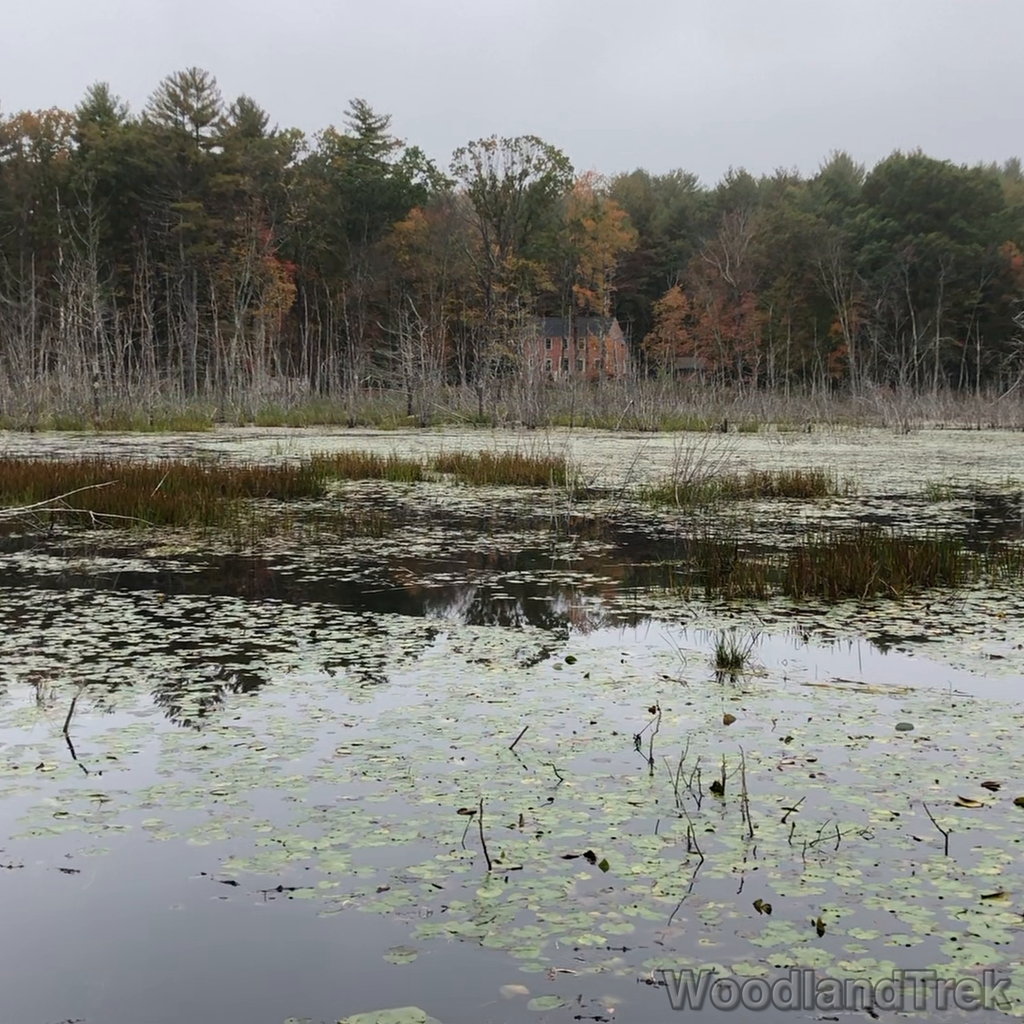 2021-10-15_104613_00