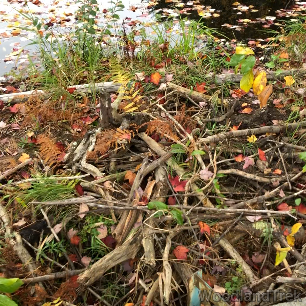 2021-10-15_105435_00