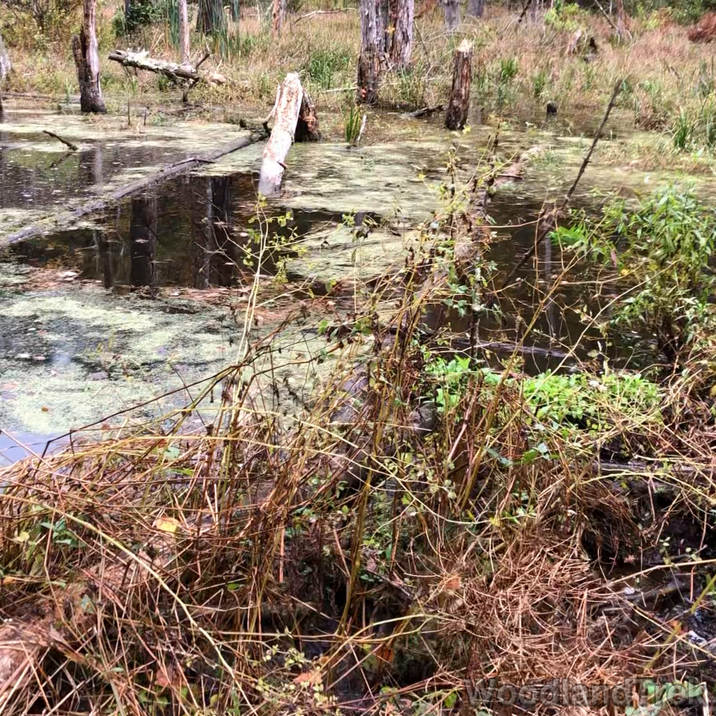 2021-10-15_112231_00