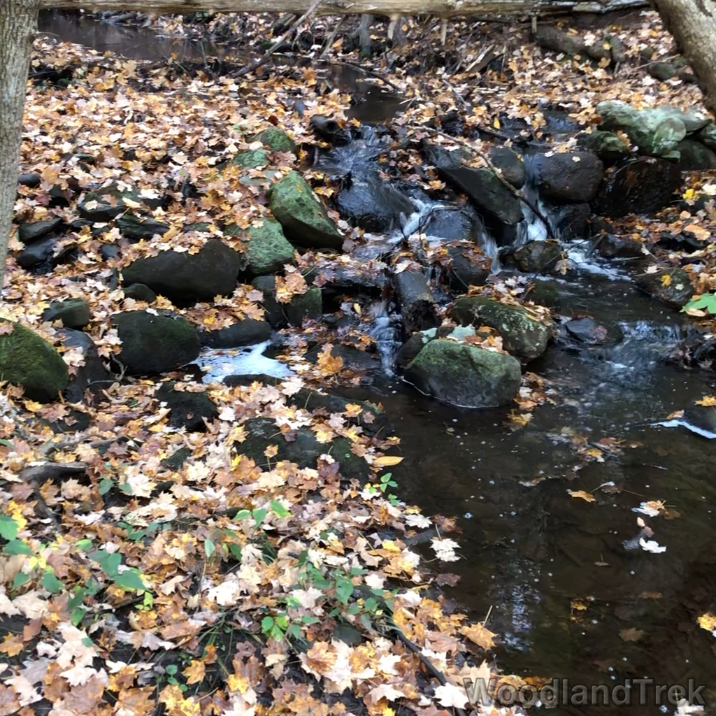 2021-10-15_112929_00