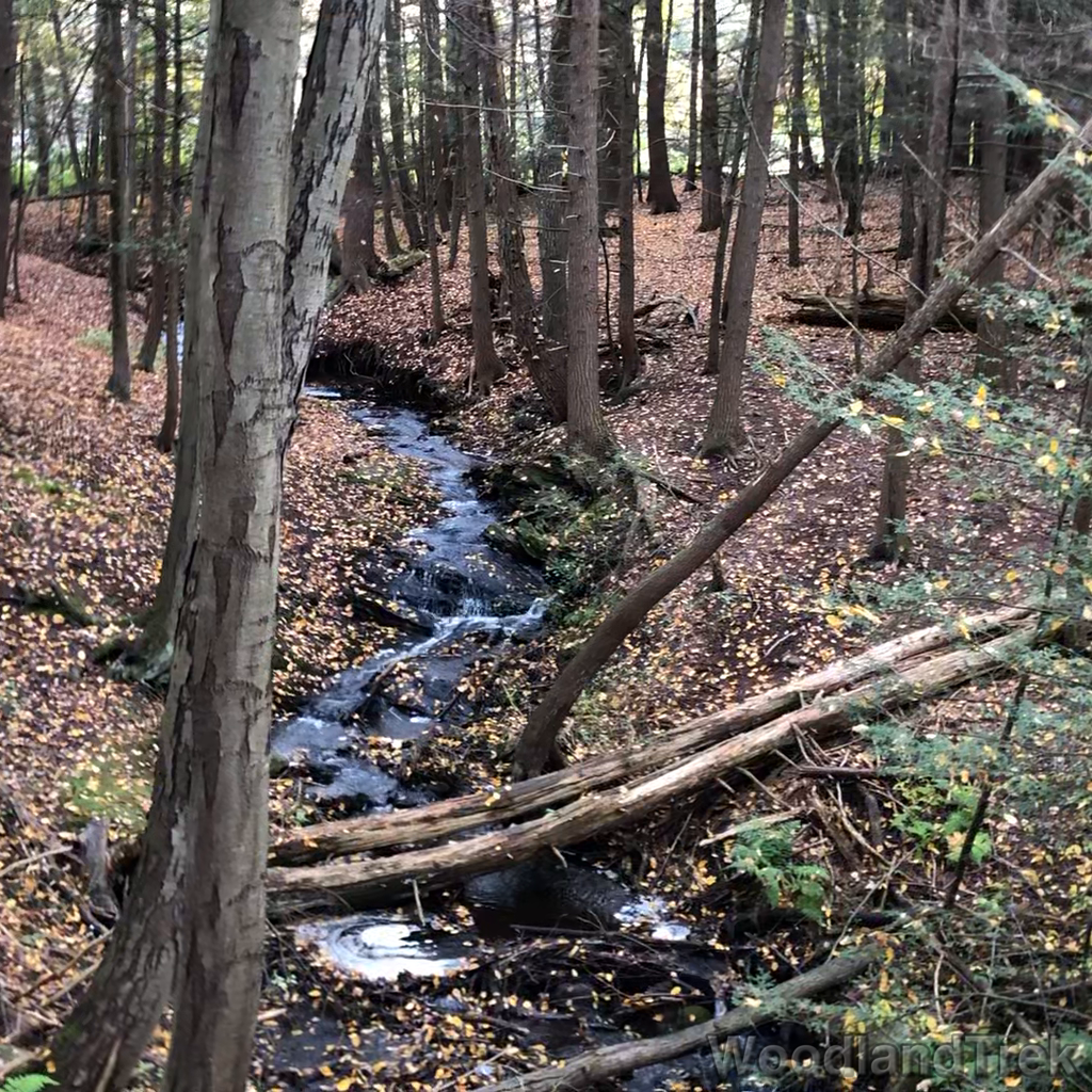 2021-10-15_113201_00