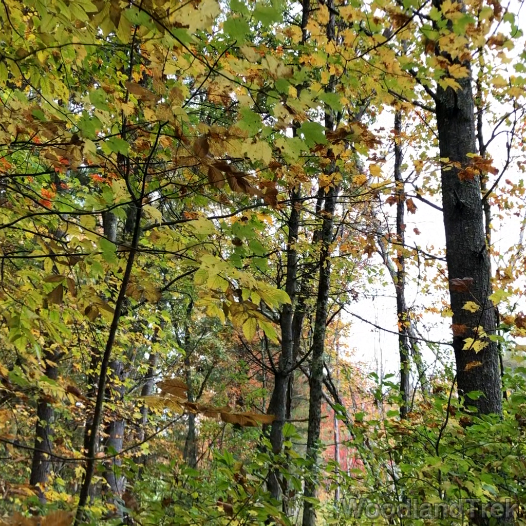 2021-10-15_121002_00