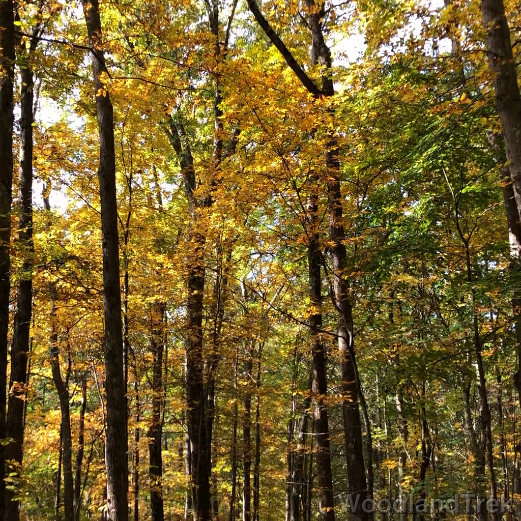 2021-10-15_121521_00