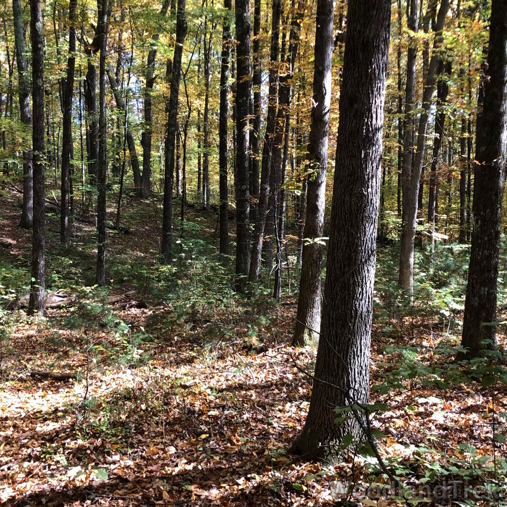 2021-10-15_121601_00