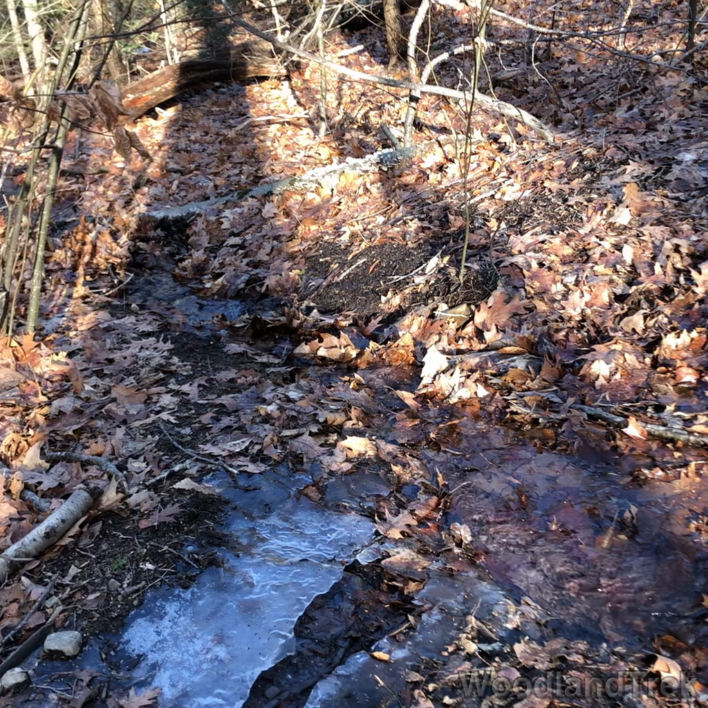 2022-01-06_105425_00