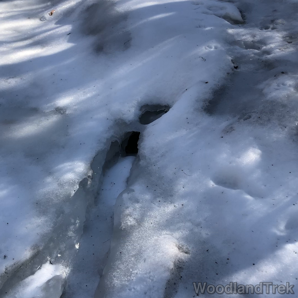 2022-02-11_113716_00