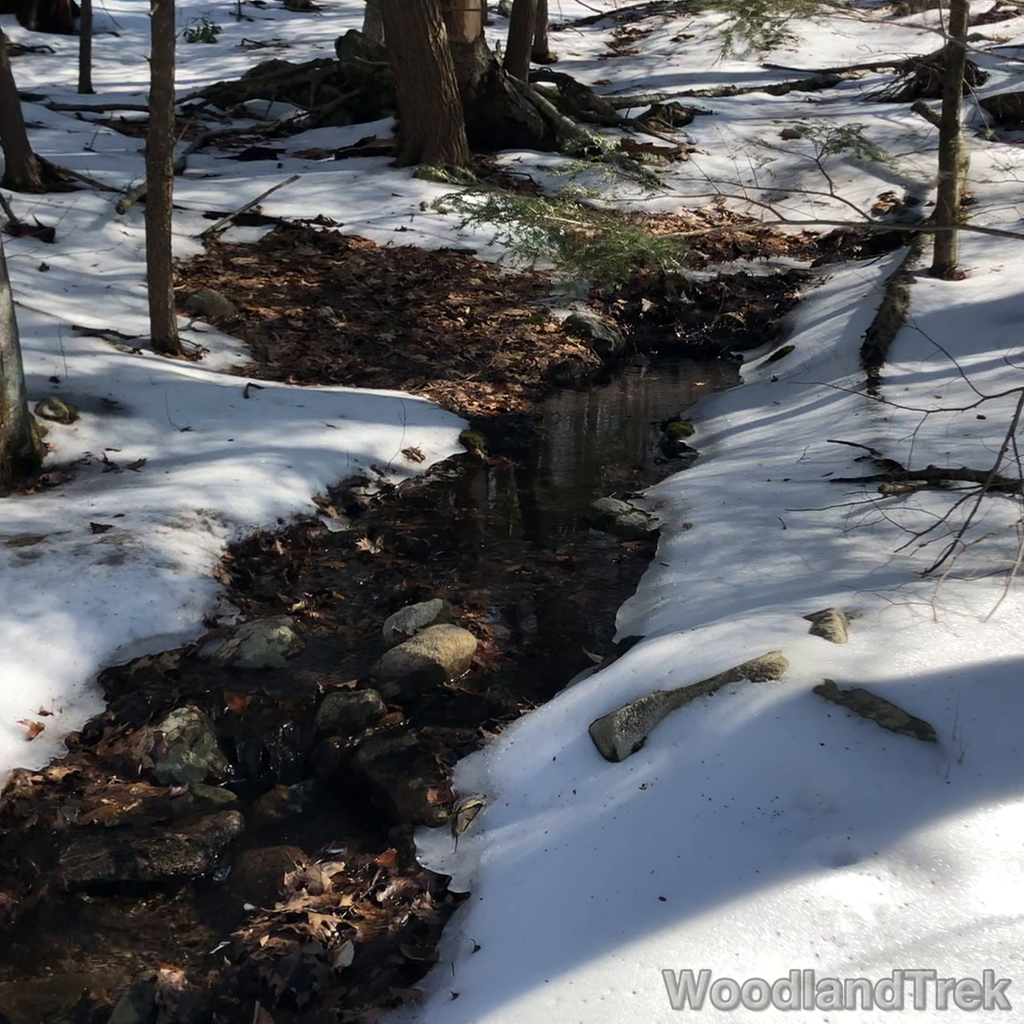 2022-02-11_114028_00