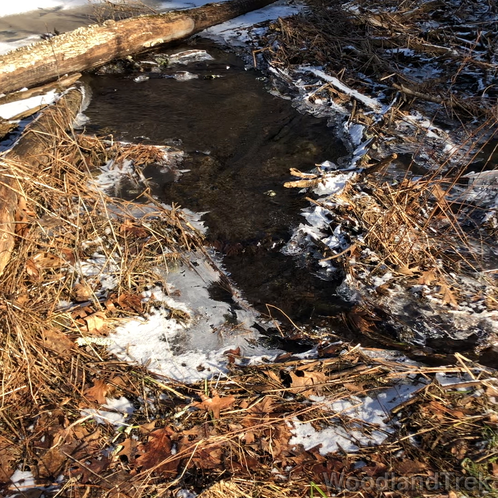 2022-02-20_140007_00