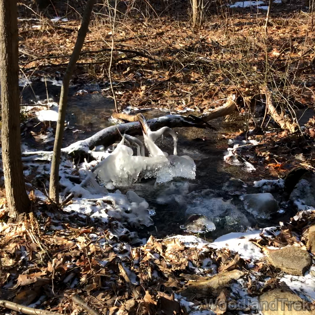 2022-02-20_140626_00