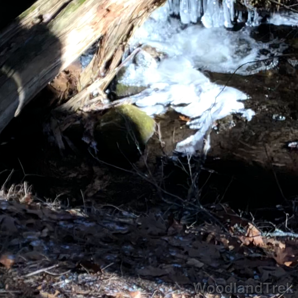 2022-02-20_141046_00