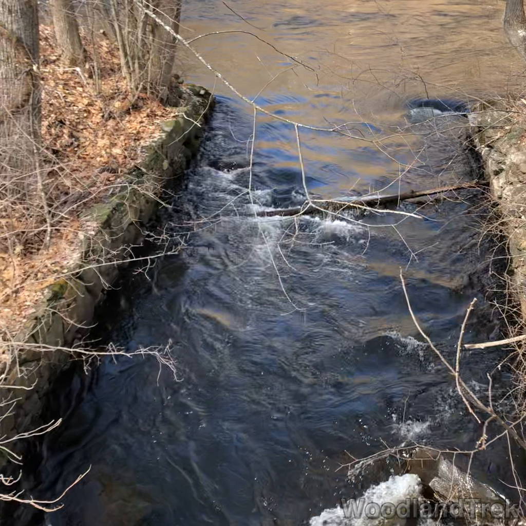 2022-03-16_120421_00