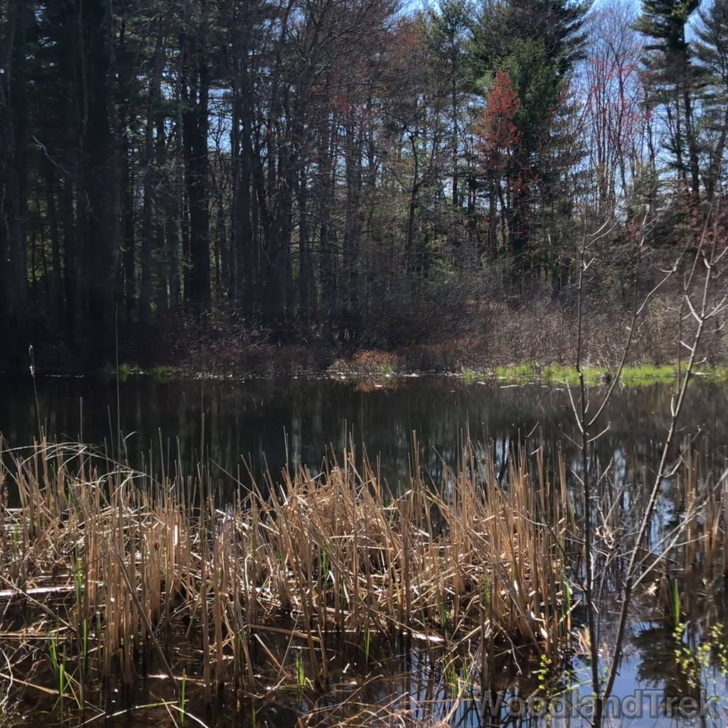 2022-05-01_150613_00