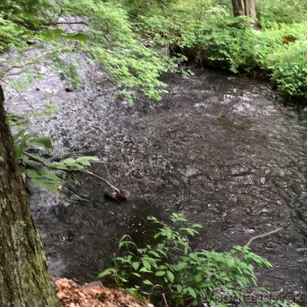 2022-06-11_145754_00