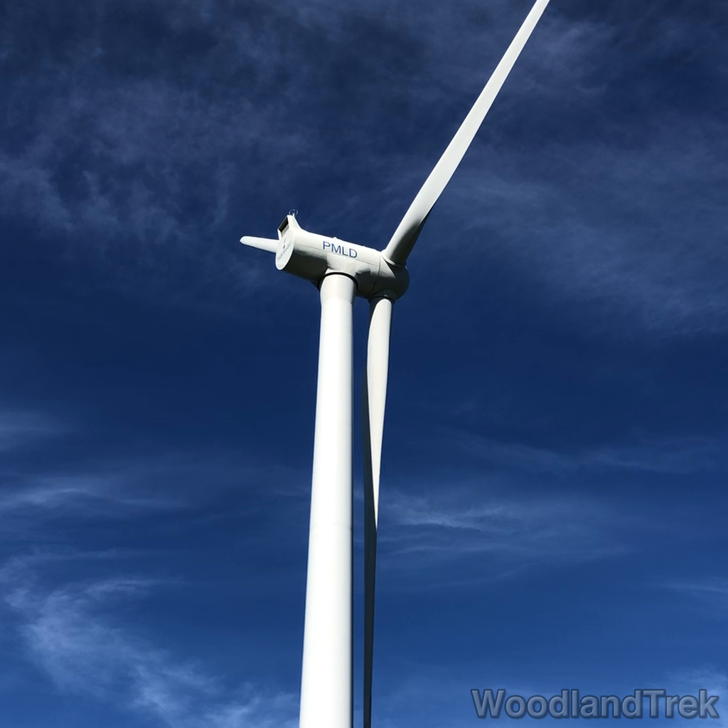 2022-06-30_084137_00