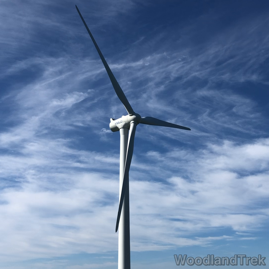 2022-06-30_084525_00