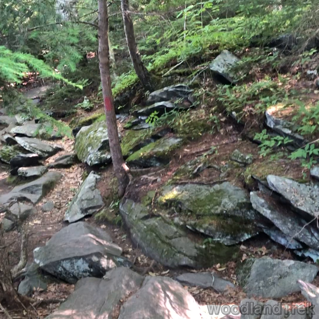 2022-06-30_091737_00