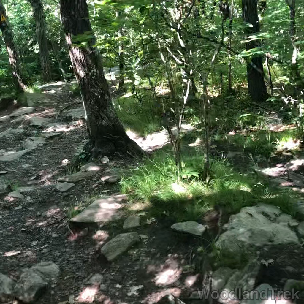 2022-06-30_095155_00