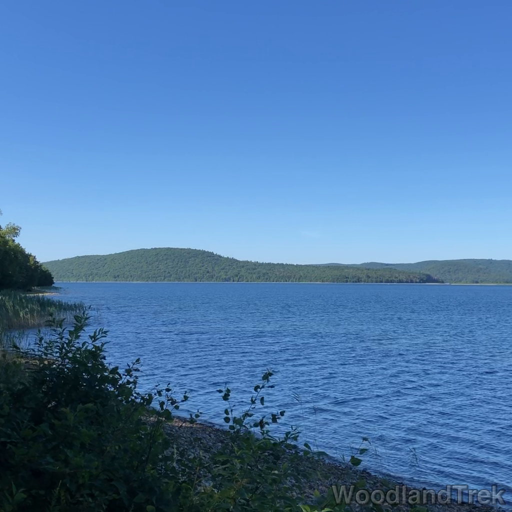 2022-07-30_085724_00