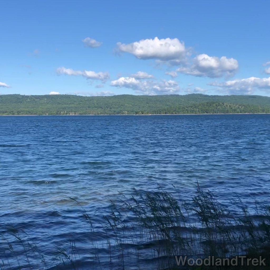 2022-07-30_091332_00