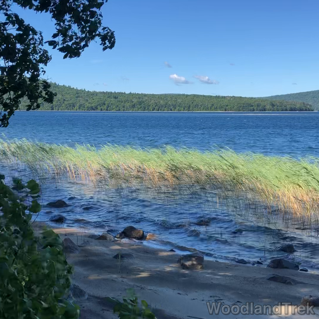 2022-07-30_091843_00