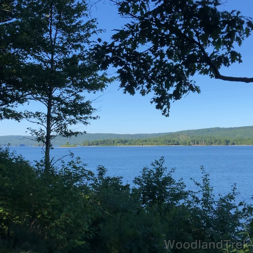 2022-07-30_093647_00