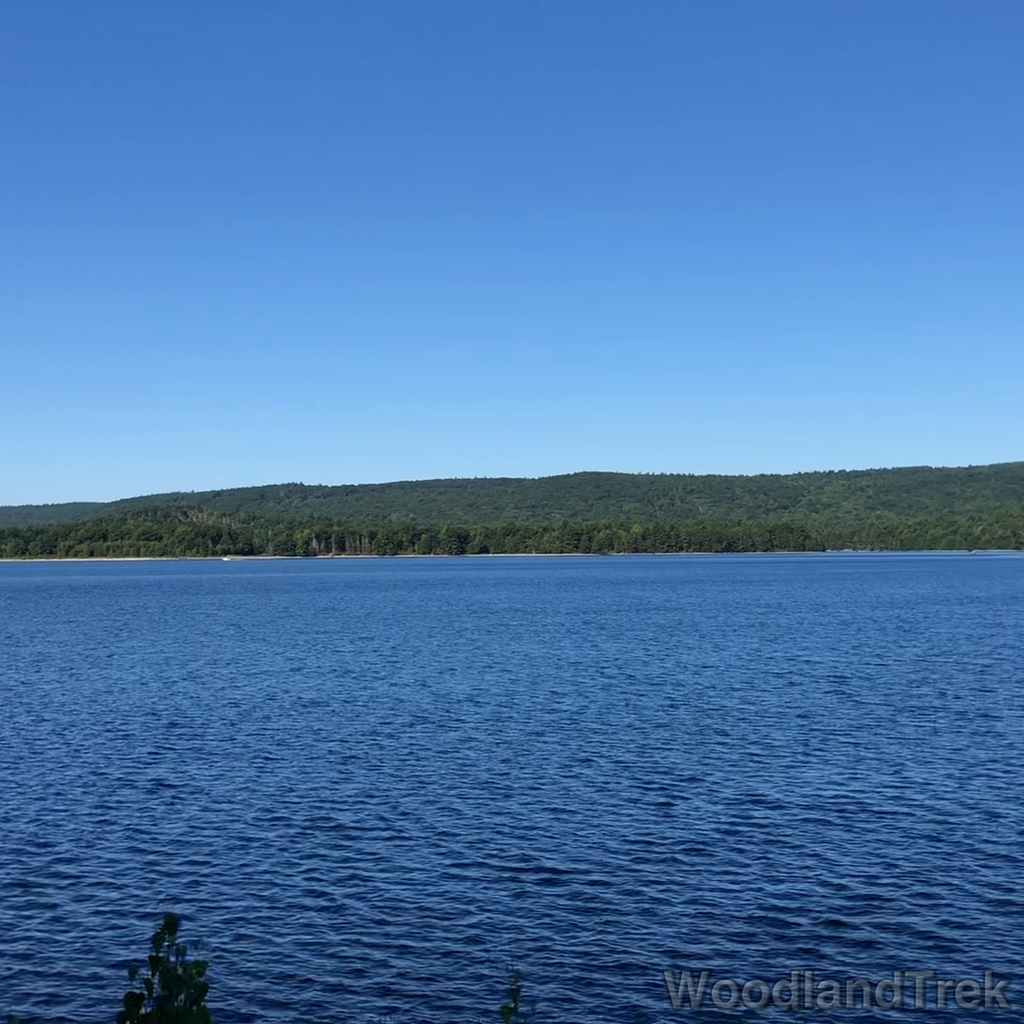 2022-07-30_093958_00