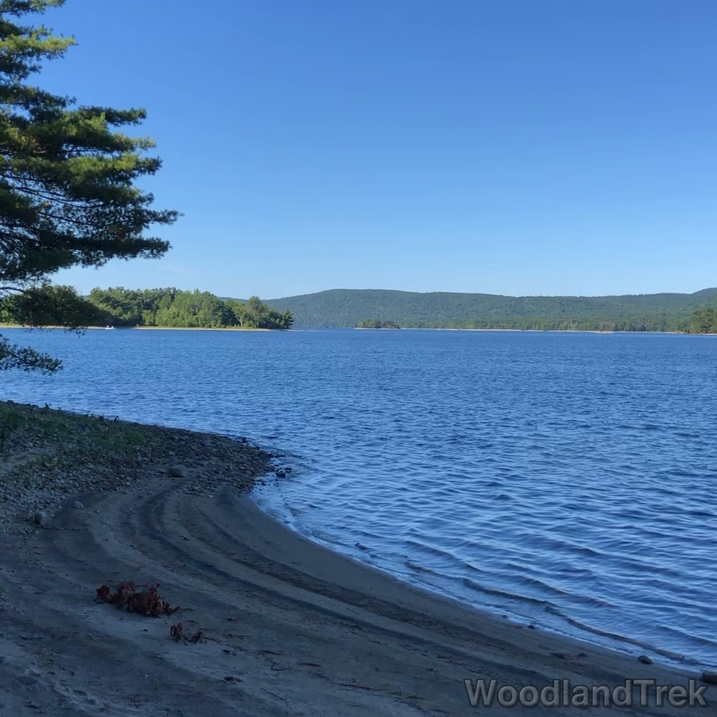 2022-07-30_094506_00