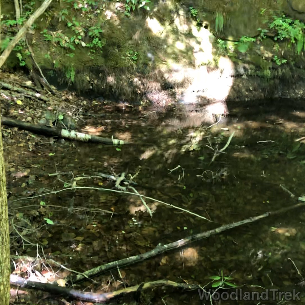 2022-07-30_101137_00