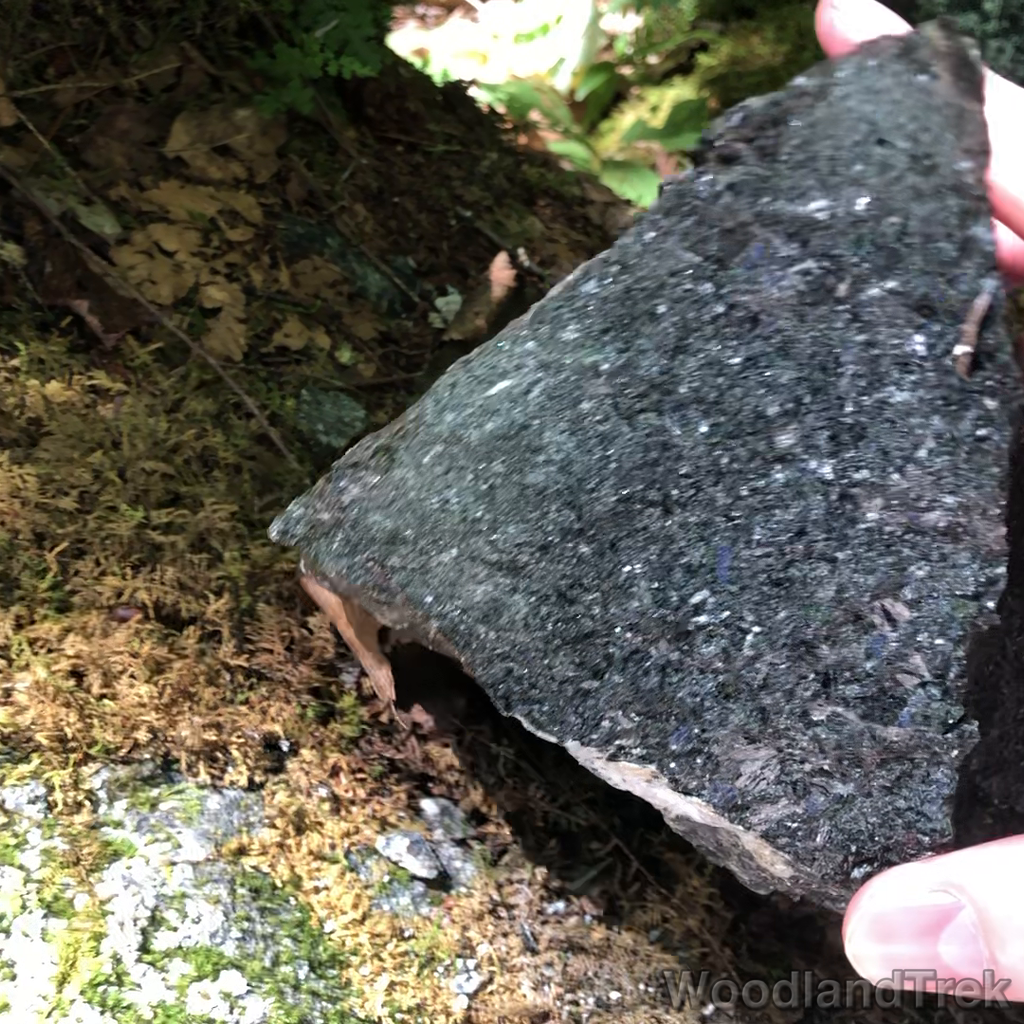 2022-07-30_101204_00