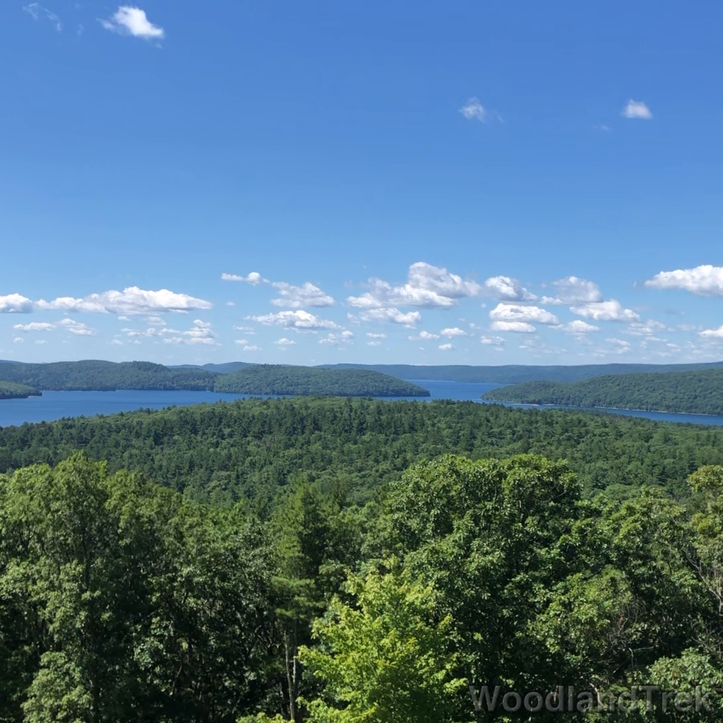 2022-07-30_105718_00