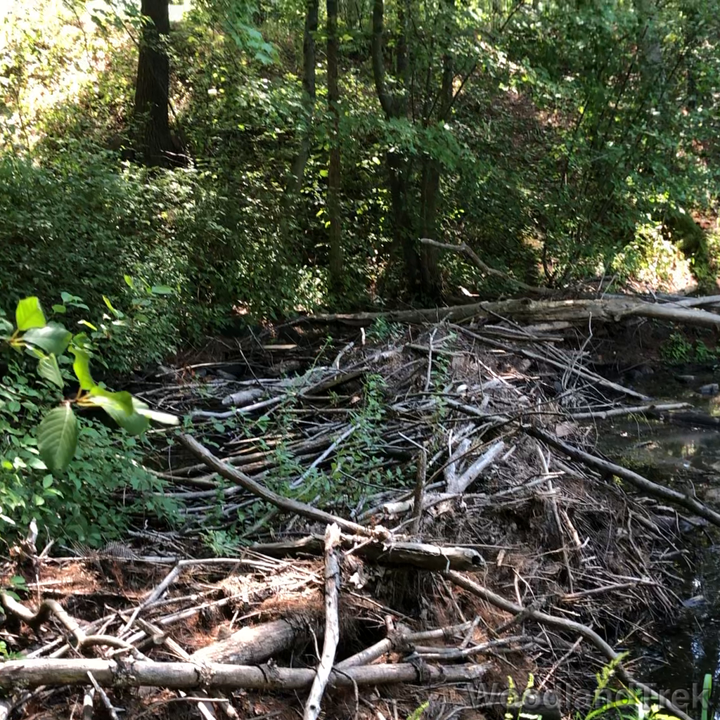 2022-08-26_125240_00