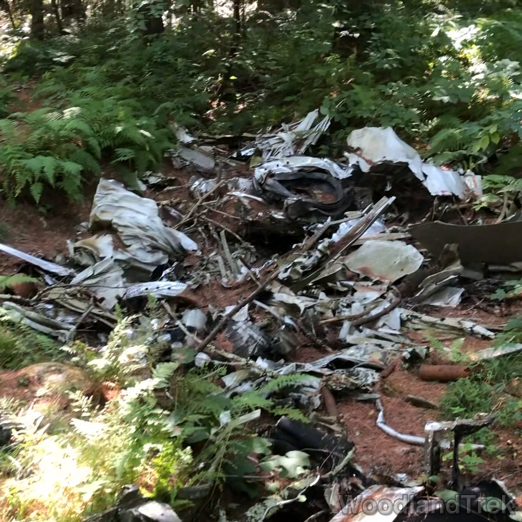 2022-09-03_105557_00