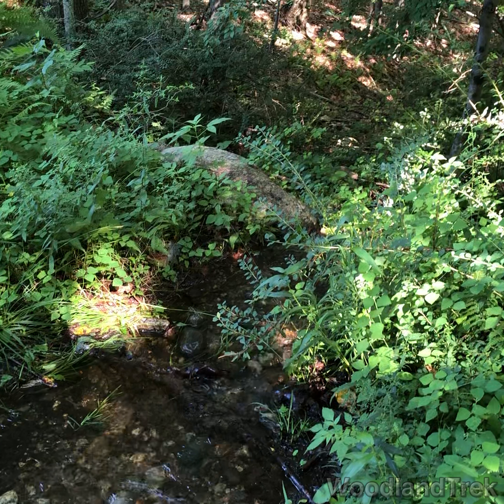 2023-07-23_100351_00