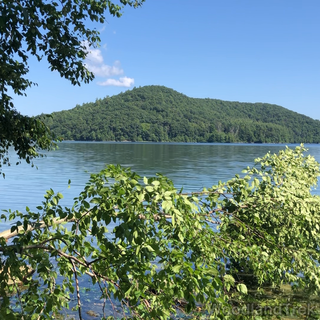 2023-07-23_101710_00