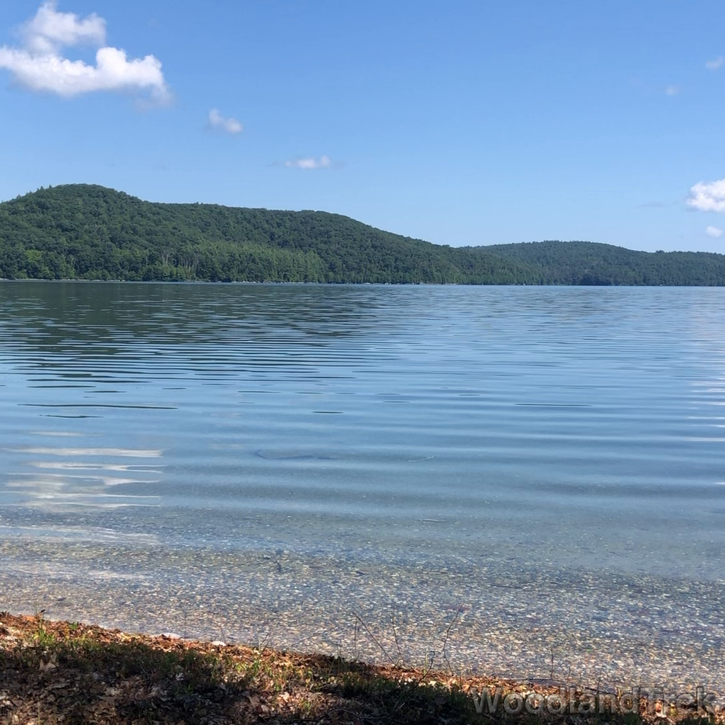 2023-07-23_103201_00