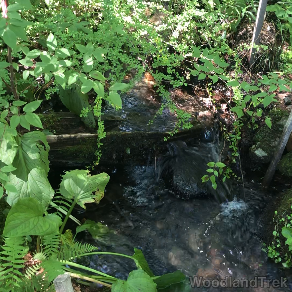 2023-07-23_105016_00