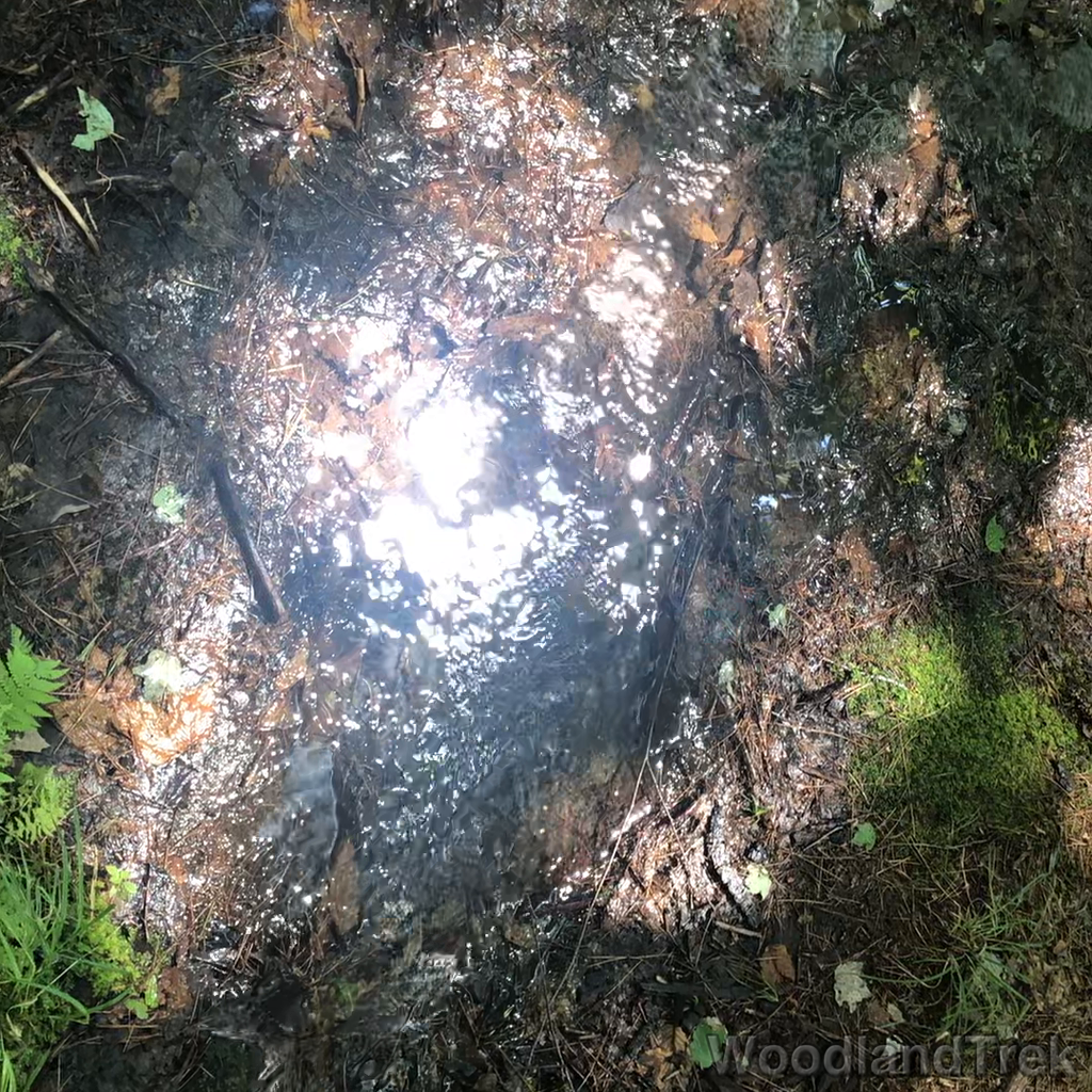 2023-07-23_110018_00