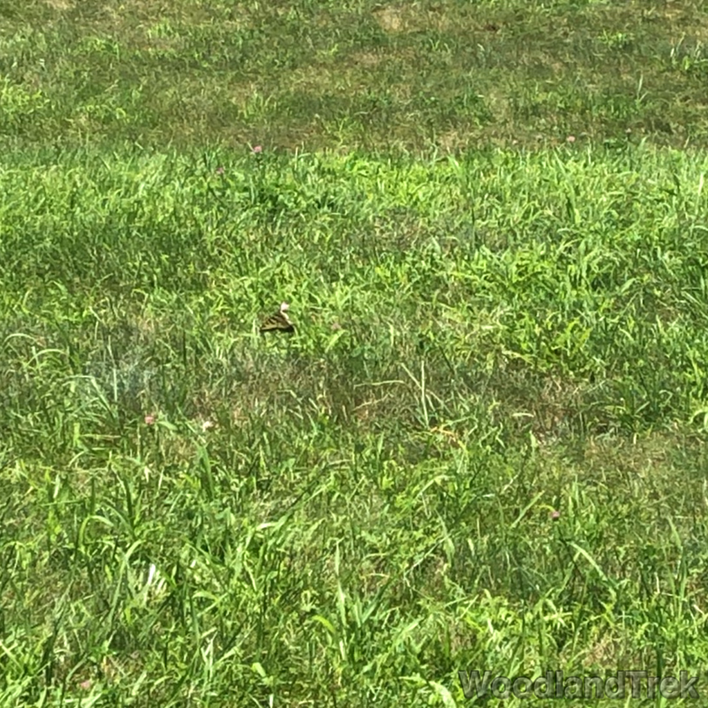 2023-07-23_123030_00