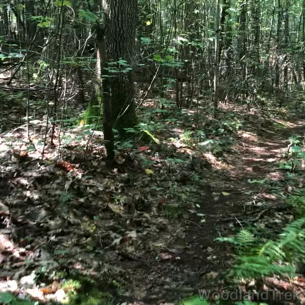 2023-07-26_105007_00